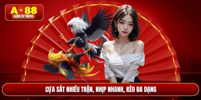 Cựa sắt nhiều trận, nhịp nhanh, kèo đa dạng